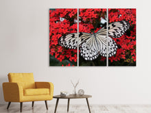 Laden Sie das Bild in den Galerie-Viewer, Leinwandbild 3-teilig Schmetterling in XXL