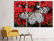 Laden Sie das Bild in den Galerie-Viewer, Leinwandbild 3-teilig Schmetterling in XXL