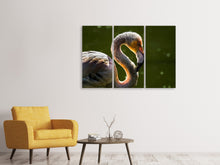 Laden Sie das Bild in den Galerie-Viewer, Leinwandbild 3-teilig Prächtiger Vogel