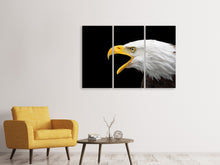 Laden Sie das Bild in den Galerie-Viewer, Leinwandbild 3-teilig Der Weißkopfseeadler