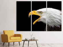Laden Sie das Bild in den Galerie-Viewer, Leinwandbild 3-teilig Der Weißkopfseeadler