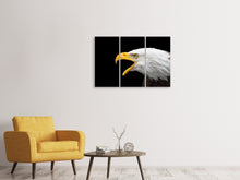 Laden Sie das Bild in den Galerie-Viewer, Leinwandbild 3-teilig Der Weißkopfseeadler