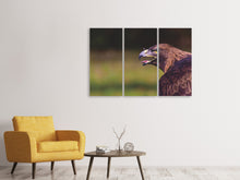 Laden Sie das Bild in den Galerie-Viewer, Leinwandbild 3-teilig Wachsamer Adler
