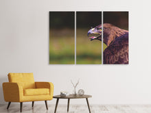 Laden Sie das Bild in den Galerie-Viewer, Leinwandbild 3-teilig Wachsamer Adler