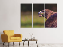 Laden Sie das Bild in den Galerie-Viewer, Leinwandbild 3-teilig Wachsamer Adler