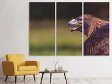 Laden Sie das Bild in den Galerie-Viewer, Leinwandbild 3-teilig Wachsamer Adler