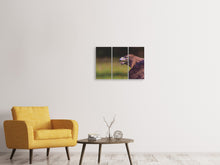 Laden Sie das Bild in den Galerie-Viewer, Leinwandbild 3-teilig Wachsamer Adler