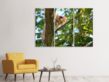 Laden Sie das Bild in den Galerie-Viewer, Leinwandbild 3-teilig Süsses Katzen Kind