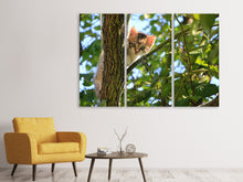 Laden Sie das Bild in den Galerie-Viewer, Leinwandbild 3-teilig Süsses Katzen Kind