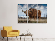 Laden Sie das Bild in den Galerie-Viewer, Leinwandbild 3-teilig Achtung Stier!