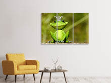Laden Sie das Bild in den Galerie-Viewer, Leinwandbild 3-teilig Herr Frosch König