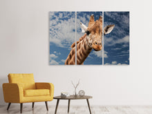 Laden Sie das Bild in den Galerie-Viewer, Leinwandbild 3-teilig Achtung Giraffe!