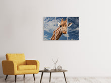 Laden Sie das Bild in den Galerie-Viewer, Leinwandbild 3-teilig Achtung Giraffe!