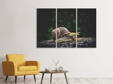 Laden Sie das Bild in den Galerie-Viewer, Leinwandbild 3-teilig Schnecke XXL