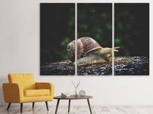 Laden Sie das Bild in den Galerie-Viewer, Leinwandbild 3-teilig Schnecke XXL