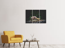 Laden Sie das Bild in den Galerie-Viewer, Leinwandbild 3-teilig Schnecke XXL