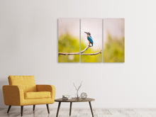 Laden Sie das Bild in den Galerie-Viewer, Leinwandbild 3-teilig Der Eisvogel
