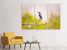 Laden Sie das Bild in den Galerie-Viewer, Leinwandbild 3-teilig Der Eisvogel