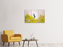 Laden Sie das Bild in den Galerie-Viewer, Leinwandbild 3-teilig Der Eisvogel
