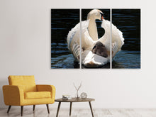 Laden Sie das Bild in den Galerie-Viewer, Leinwandbild 3-teilig Mama und Baby Schwan