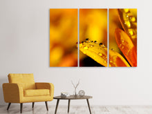 Laden Sie das Bild in den Galerie-Viewer, Leinwandbild 3-teilig Tropfen Close up