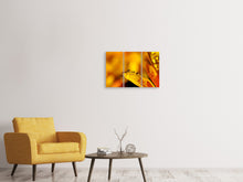 Laden Sie das Bild in den Galerie-Viewer, Leinwandbild 3-teilig Tropfen Close up