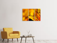 Laden Sie das Bild in den Galerie-Viewer, Leinwandbild 3-teilig Tropfen Close up