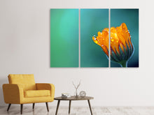 Laden Sie das Bild in den Galerie-Viewer, Leinwandbild 3-teilig Ringelblume im Morgentau