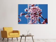 Laden Sie das Bild in den Galerie-Viewer, Leinwandbild 3-teilig Die Mandelblüte