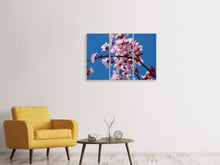 Laden Sie das Bild in den Galerie-Viewer, Leinwandbild 3-teilig Die Mandelblüte