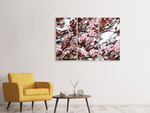 Laden Sie das Bild in den Galerie-Viewer, Leinwandbild 3-teilig Der Frühling ist da