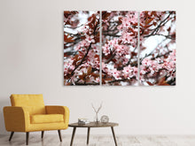 Laden Sie das Bild in den Galerie-Viewer, Leinwandbild 3-teilig Der Frühling ist da