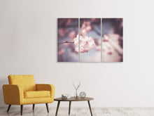 Laden Sie das Bild in den Galerie-Viewer, Leinwandbild 3-teilig Blüte XL