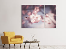 Laden Sie das Bild in den Galerie-Viewer, Leinwandbild 3-teilig Blüte XL