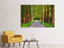 Laden Sie das Bild in den Galerie-Viewer, Leinwandbild 3-teilig Schöne Allee in der Natur