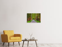 Laden Sie das Bild in den Galerie-Viewer, Leinwandbild 3-teilig Schöne Allee in der Natur