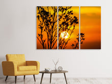 Laden Sie das Bild in den Galerie-Viewer, Leinwandbild 3-teilig Ein Strauch im Sonnenuntergang