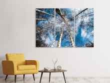 Laden Sie das Bild in den Galerie-Viewer, Leinwandbild 3-teilig Birkenkronen