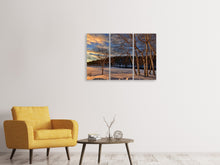 Laden Sie das Bild in den Galerie-Viewer, Leinwandbild 3-teilig Birken im Winter