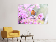 Laden Sie das Bild in den Galerie-Viewer, Leinwandbild 3-teilig Frühlings Vogel