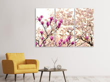 Laden Sie das Bild in den Galerie-Viewer, Leinwandbild 3-teilig Schöne Magnolien XL