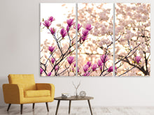 Laden Sie das Bild in den Galerie-Viewer, Leinwandbild 3-teilig Schöne Magnolien XL