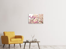 Laden Sie das Bild in den Galerie-Viewer, Leinwandbild 3-teilig Schöne Magnolien XL