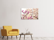 Laden Sie das Bild in den Galerie-Viewer, Leinwandbild 3-teilig Schöne Magnolien XL