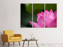 Laden Sie das Bild in den Galerie-Viewer, Leinwandbild 3-teilig Marko Lotus in pink