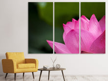 Laden Sie das Bild in den Galerie-Viewer, Leinwandbild 3-teilig Marko Lotus in pink