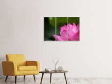 Laden Sie das Bild in den Galerie-Viewer, Leinwandbild 3-teilig Marko Lotus in pink