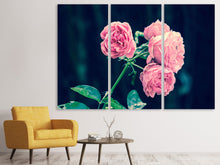 Laden Sie das Bild in den Galerie-Viewer, Leinwandbild 3-teilig Schöne Rosa Rosen