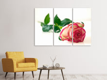Laden Sie das Bild in den Galerie-Viewer, Leinwandbild 3-teilig Die stolze Rose
