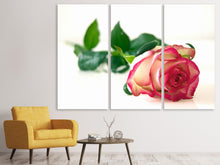 Laden Sie das Bild in den Galerie-Viewer, Leinwandbild 3-teilig Die stolze Rose